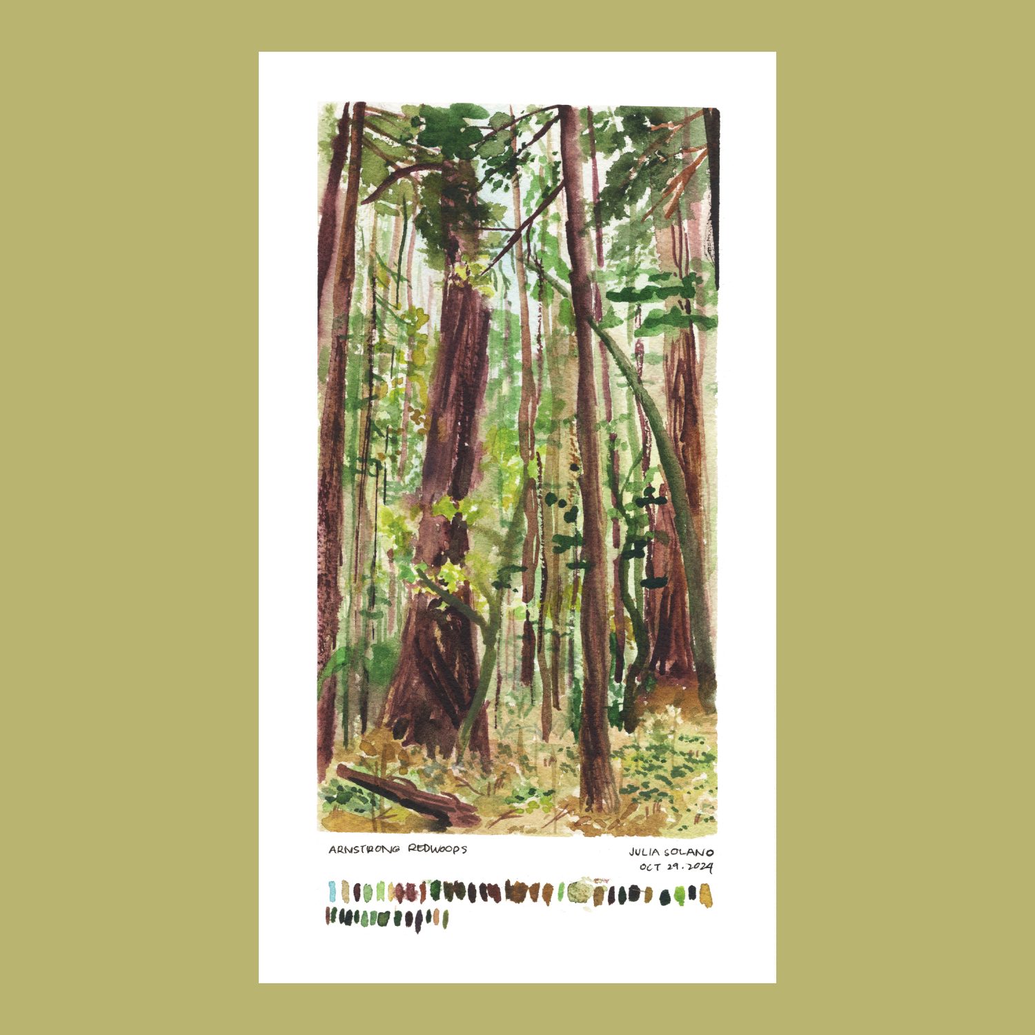 Armstrong Redwoods